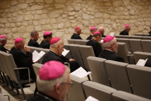 rada biskupów diecezjalnych